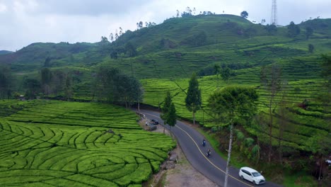 Carretera-Asfaltada-A-Través-De-Plantaciones-De-Té-Cerca-De-Ciwidey-En-Bandung,-Indonesia
