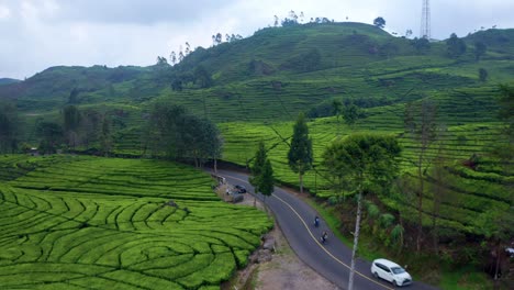 asphalt road through tea plantations near ciwidey in bandung, indonesia