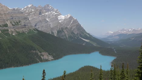 Aguas-Color-Turquesa-Del-Lago-Peyto,-Parque-Nacional-Banff,-Montañas-Rocosas