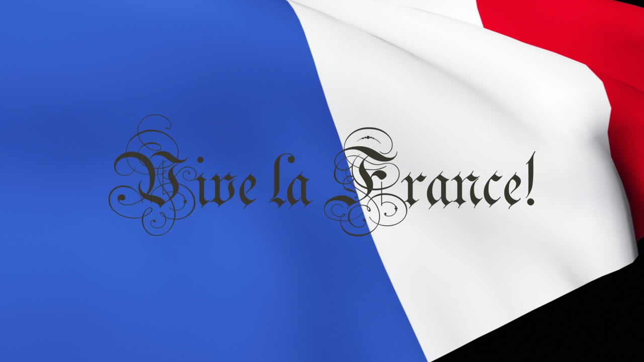 vive la france의 애니메이션 텍스트와 프랑스 발