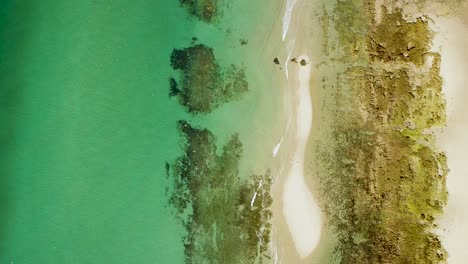 Antena-Una-Bandada-De-Aves-Marinas-Vuela-Bajo-Una-Ruta-De-Vuelo-De-Drones,-Punto-Rocoso,-Puerto-Peñasco,-Golfo-De-California,-México