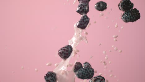 blackberries being tossed up with milk and a pink background