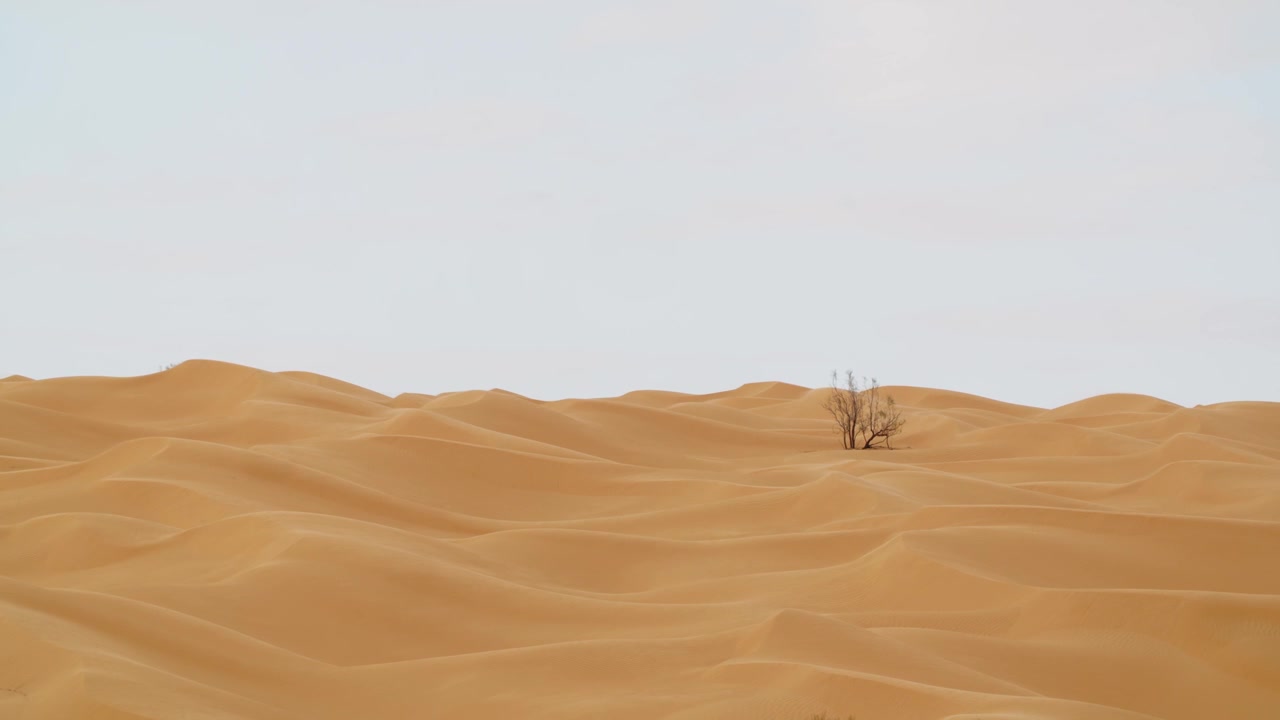 Sahara tunisino, che mostra la vasta distesa del Grande Erg Orientale con dune di sabbia scolpite dal vento sotto un cielo limpido del deserto