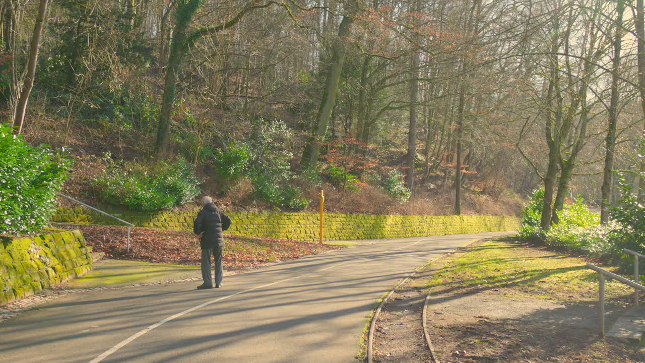 Man walking on a sunlit park path alongside a forest