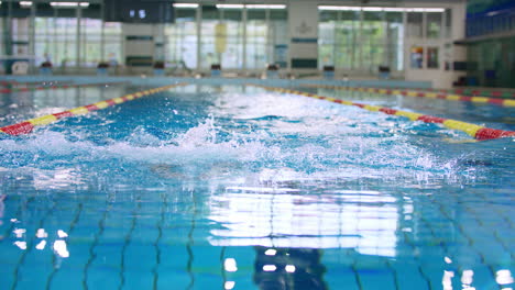 swimmer using breaststroke style in swimming line of a lap pool, front view