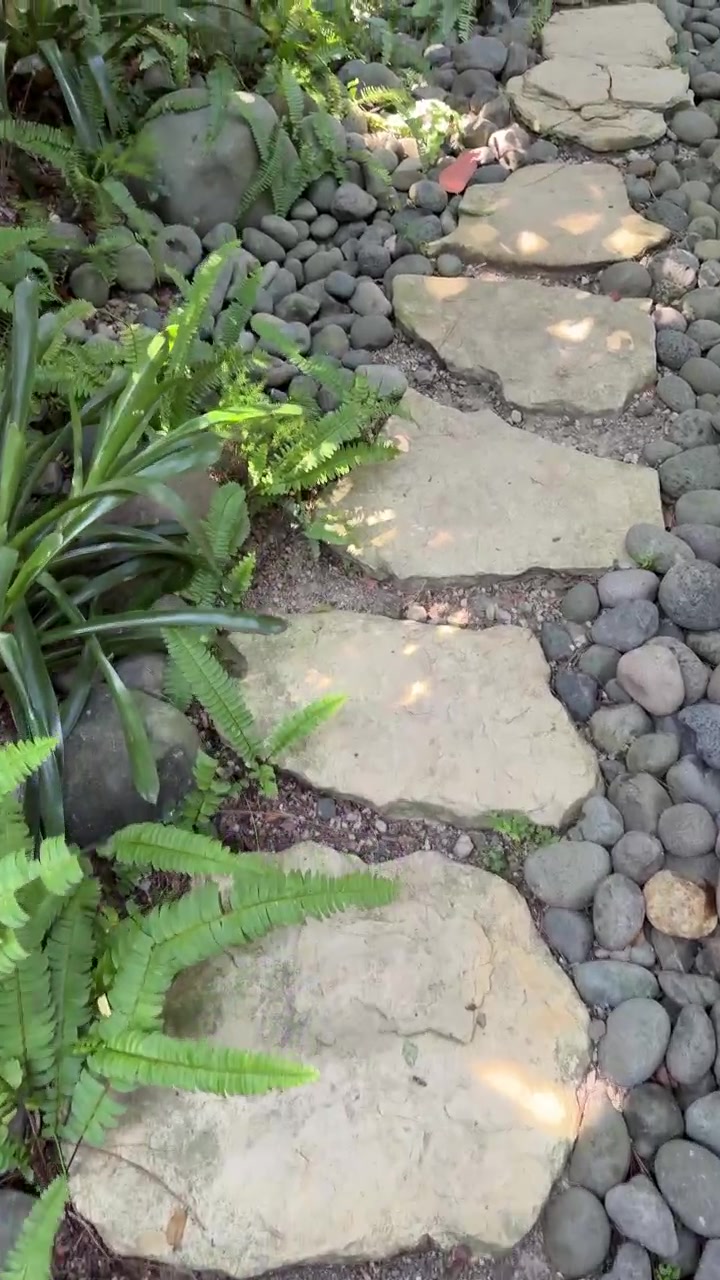 Stepping Stones Through a Lush Garden Path
