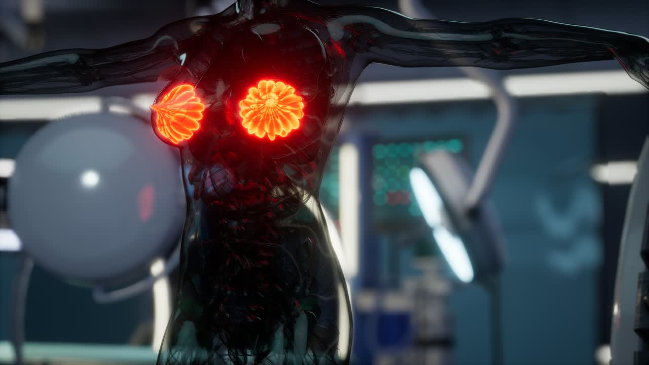 여성 유방 의 의학적 검사