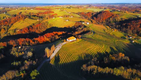 stunning aerial 4k drone footage of an old vineyard cottage, malek - jeruzalem, slovenia