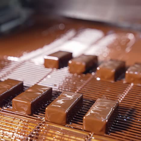 chocolate candies on a conveyor belt