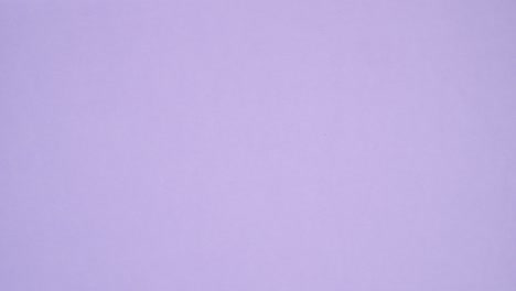 romantic valentine decoration on bright purple theme. stop motion