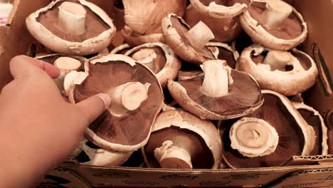 hand picking mushrooms from a market box