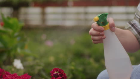 farmer sprinkling water on flowers