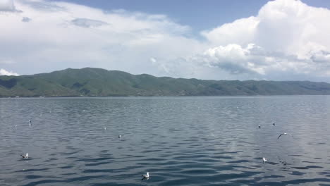 Shot-of-the-lake-Sevan,-the-largest-lake-in-Armenia,-with-many-Armenian-gulls-enjoying-the-water