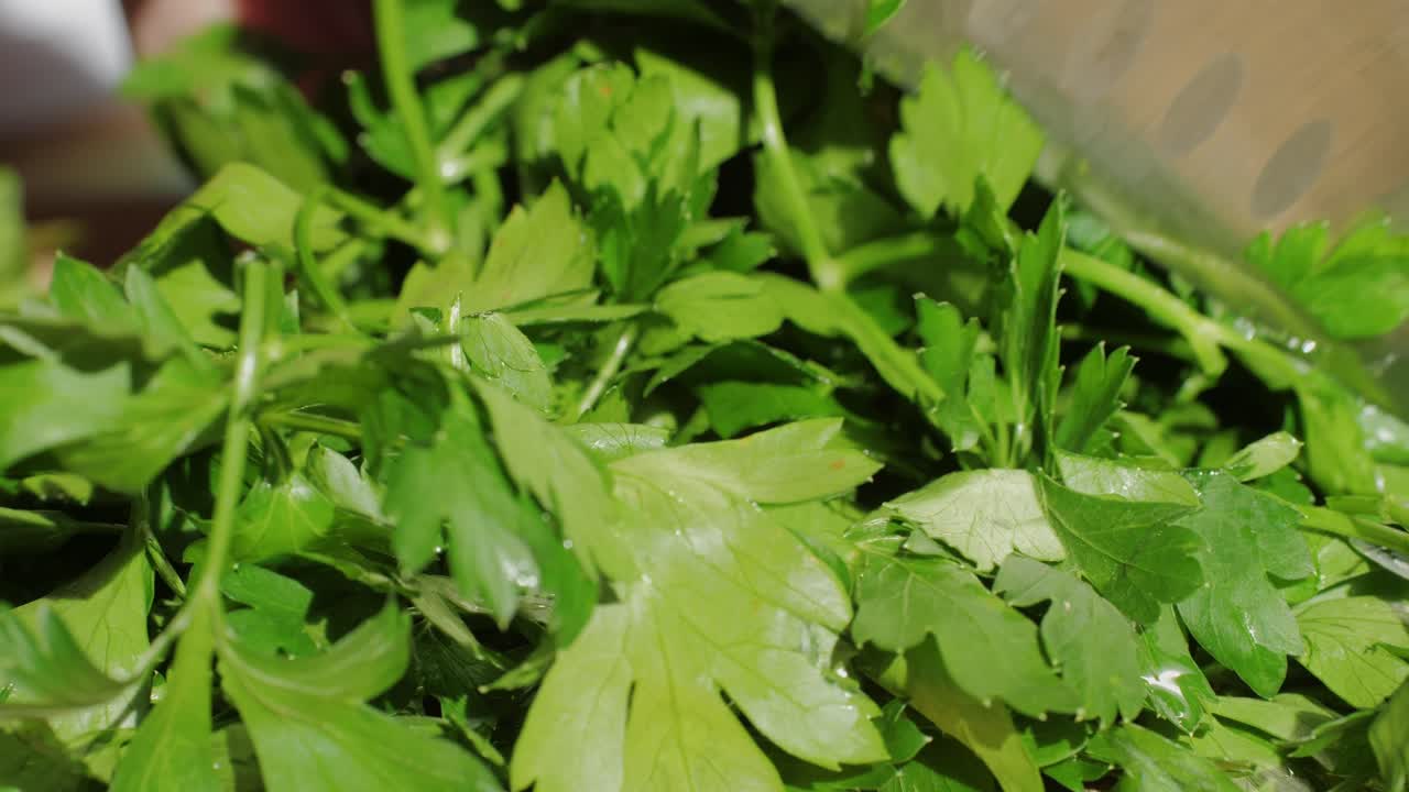Close-up of chef hands cutting green parsley leaves on a cutting board with a knife for preparing a vegetarian dish