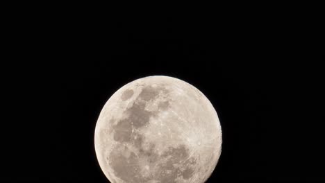 Vista-De-Una-Luna-Llena-Mientras-Se-Mueve-Lentamente-Un-Poco-Hacia-Arriba,-Mostrando-Los-Cráteres-Y-Otras-Formas-De-Relieve-Que-Se-Pueden-Ver-En-La-Cara-De-La-Luna.