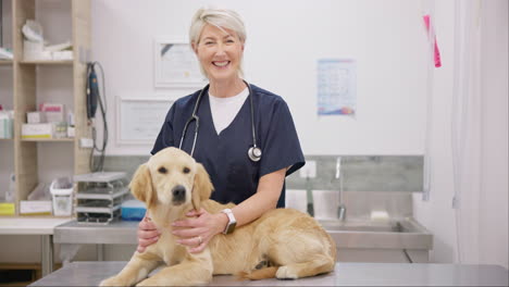 Smile,-dog-and-veterinarian-with-stethoscope