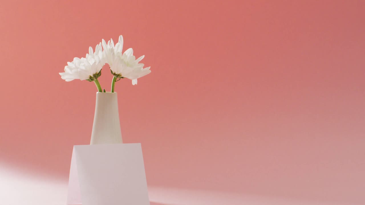 Vidéo de fleurs blanches dans un vase et d'une carte avec espace de copie sur fond rose