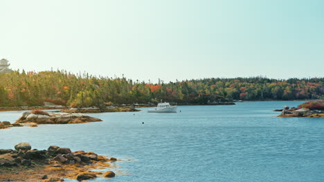 nova scotia’s landscapes.
breathtaking, with rugged coastlines, rolling hills, forests, and charming villages. stunning views and a perfect blend of nature, beauty, and serenity.