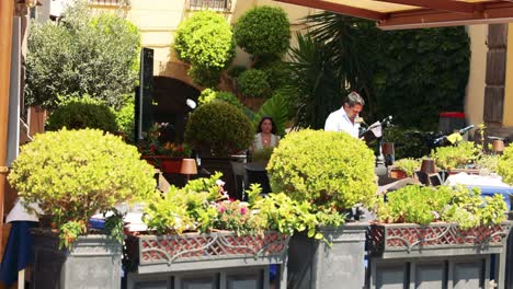 people enjoying a meal surrounded by greenery