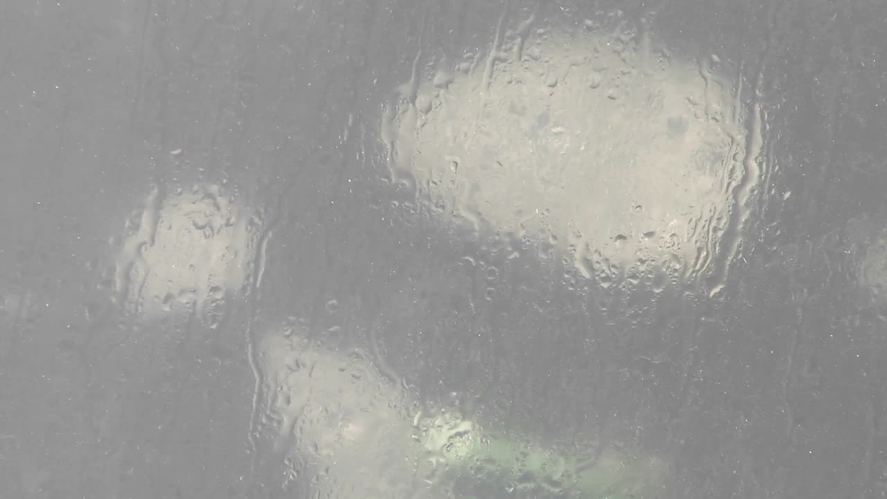 primer plano del biorreactor vemos que las algas se están moviendo y aireando con co2