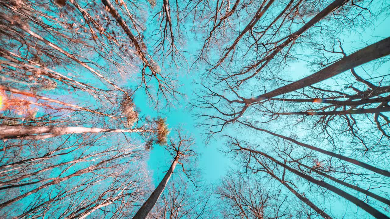 공원에서 꿈꾸는 산책