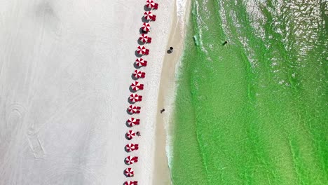 destin florida straight down aerial drone shot of the white sand beach and emerald green water of the gulf of mexico