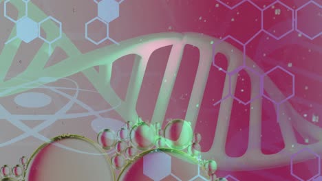 animación de burbujas sobre cadena de adn y hexágonos en fondo rosa