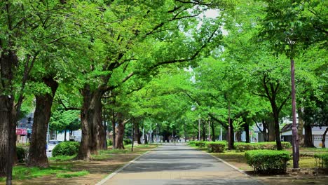 the beautiful life in yokohama