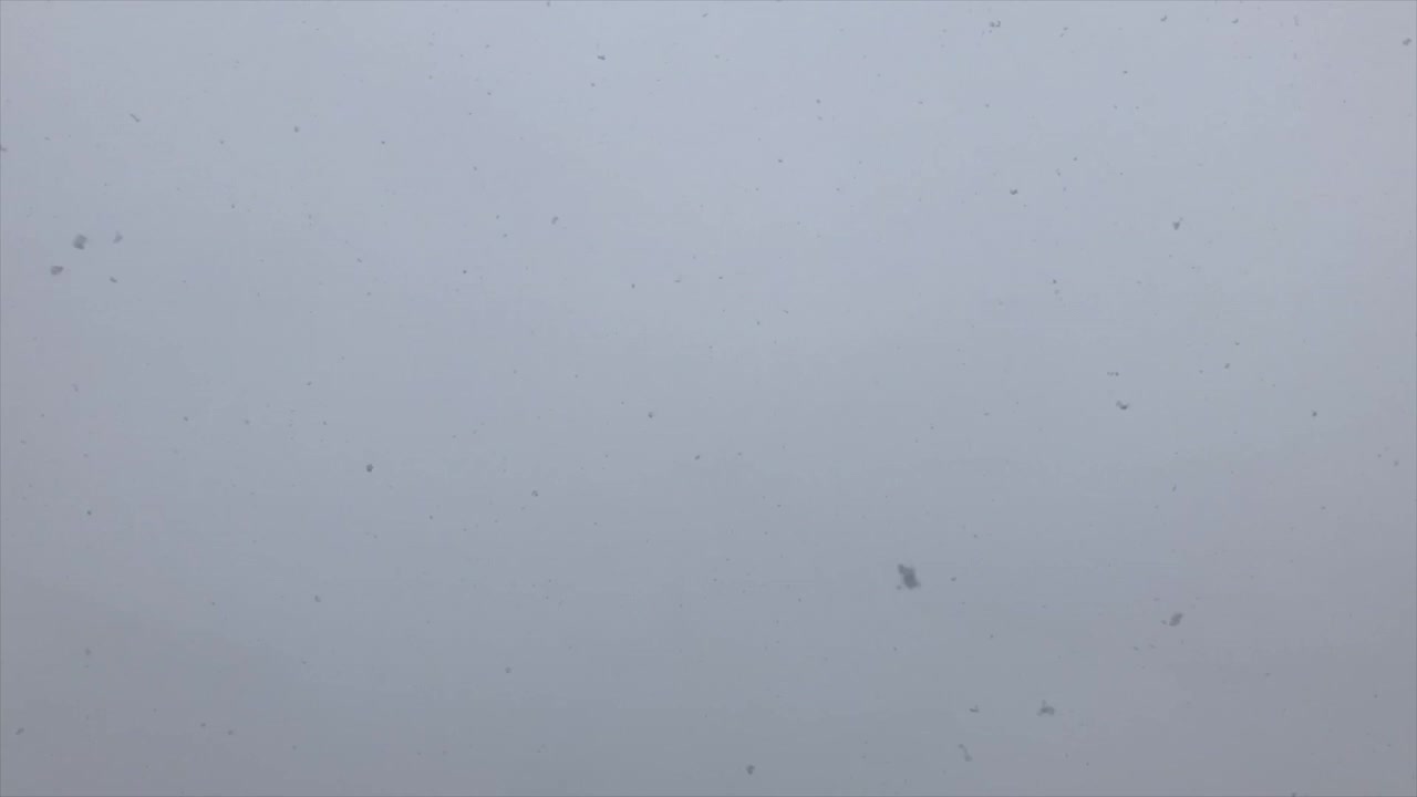 Falling snow in cloudy with a chance of meatballs.