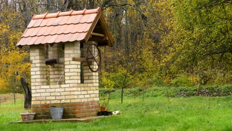 pozo de agua en la granja, europa