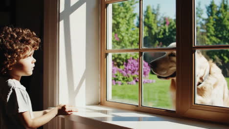 boy and golden retriever share a moment through the window