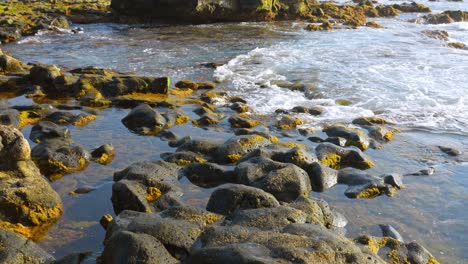 Rocks-and-Atlantic-ocean-waves-on-Tenerife-coastline,-tilt-up-view