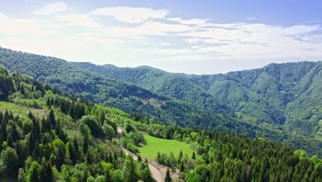 aerial view of small pasture among forests in mountains