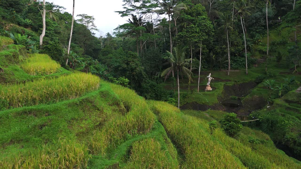 Aerial view of Tegallalang rice terraces surrounded by tropical jungle and palm trees near Ubud, Bali. A statue is visible in the distance, nestled in the lush green forest