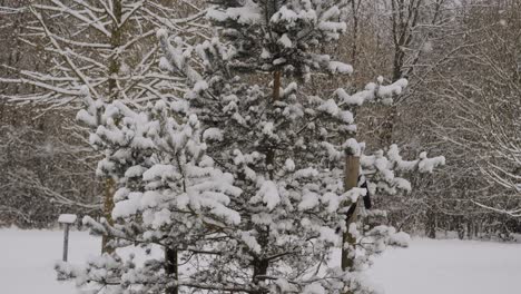 Slow-motion-shot-of-heavy-snowing-caused-by-lake-effect