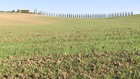 A-wide-shot-of-a-farm-villa-with-long-rows-of-trees-in-Tuscany-Italy-2