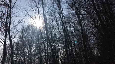 Walking-on-a-forest-road,-early-spring-season