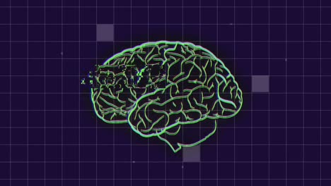 animación de la cuadrícula y procesamiento de datos sobre el giro del cerebro