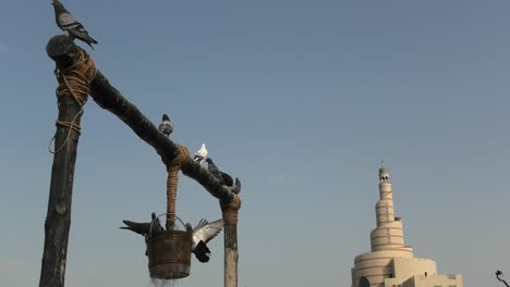 pigeon at old well