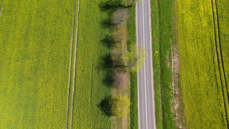carretera que atraviesa un hermoso paisaje rural
