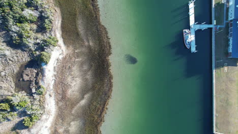 toma de drone de la bola de cebo formada en las aguas claras del océano, toma aérea de un grupo de peces