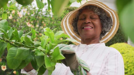 Porträt-Einer-älteren-Afroamerikanischen-Frau-Mit-Gartenhandschuhen,-Die-Im-Garten-Pflanzen-Schneidet