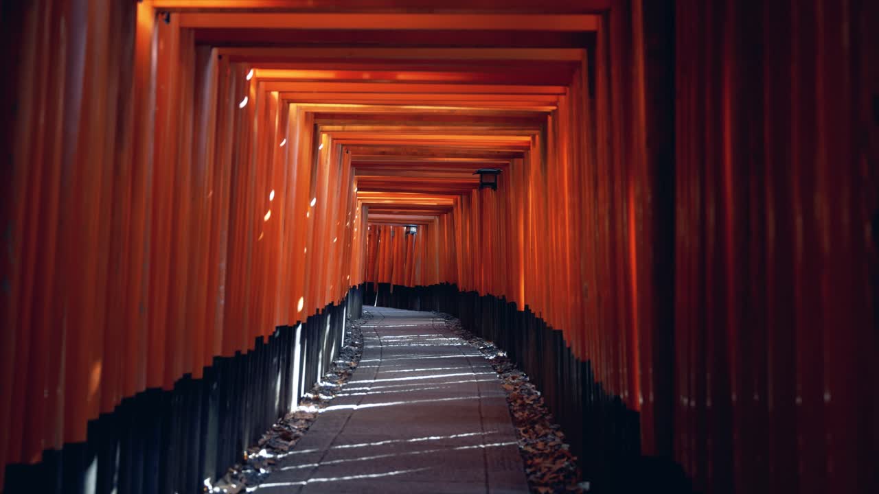 Premium stock video - Red torii gate pathway at fushimi inari taisha in ...