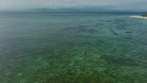 kayakistas en viaje remando a través de aguas poco profundas y claras cerca de la costa de la isla tropical, antena