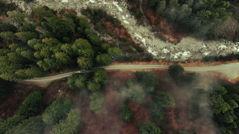 mountain road through foggy forest in autumn