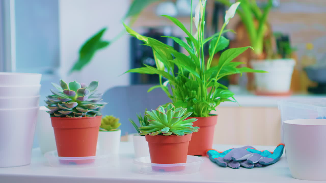 familia extensa haciendo una llamada de video