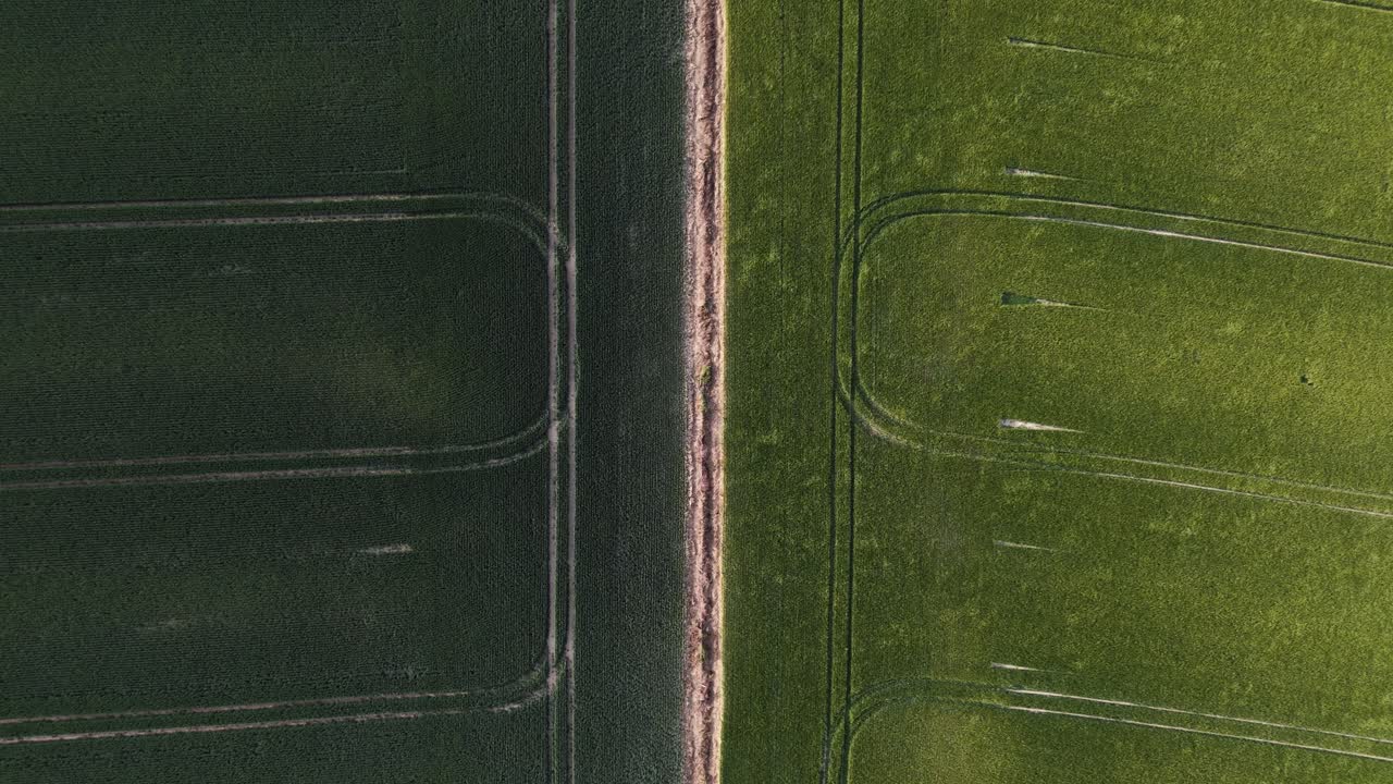 Topdown stationary drone shows wind-blown fields and texture of crops in rural England, stunning wind texture shadows