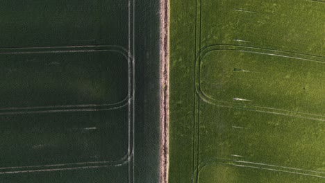 topdown stationary drone shows wind-blown fields and texture of crops in rural england, stunning wind texture shadows