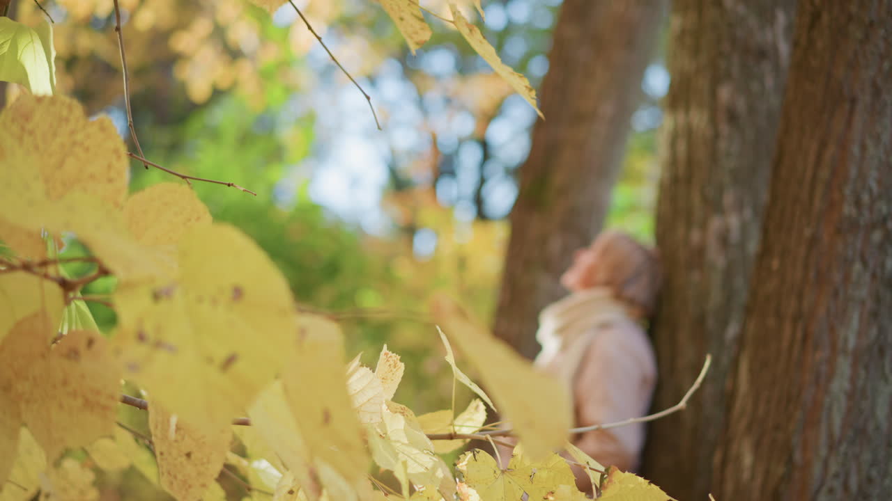 close up golden autumn leaf gently hanging from branch with soft bokeh blur of resting figure near tree trunk in peaceful forest, radiating calm solitude and quiet reflection in warm natural light