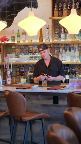 in a lively restaurant, a bartender skillfully prepares a refreshing drink, capturing the artistry of mixology and vibrant social interactions